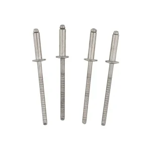 Neuheit Edelstahl-Blindnieten / V4A