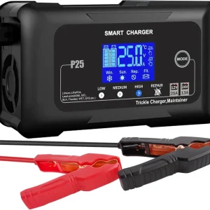 Weltweiter Versand NOEIFEVO 25A Autobatterieladegerät, 12V 25A/24V 13A Erhaltungsladegerät für Auto, Motorrad, Rasenmäher, Boot, Lithium, LiFePO4 und Blei-Säure (AGM, GEL, MF, EFB, SLA, VRLA)
