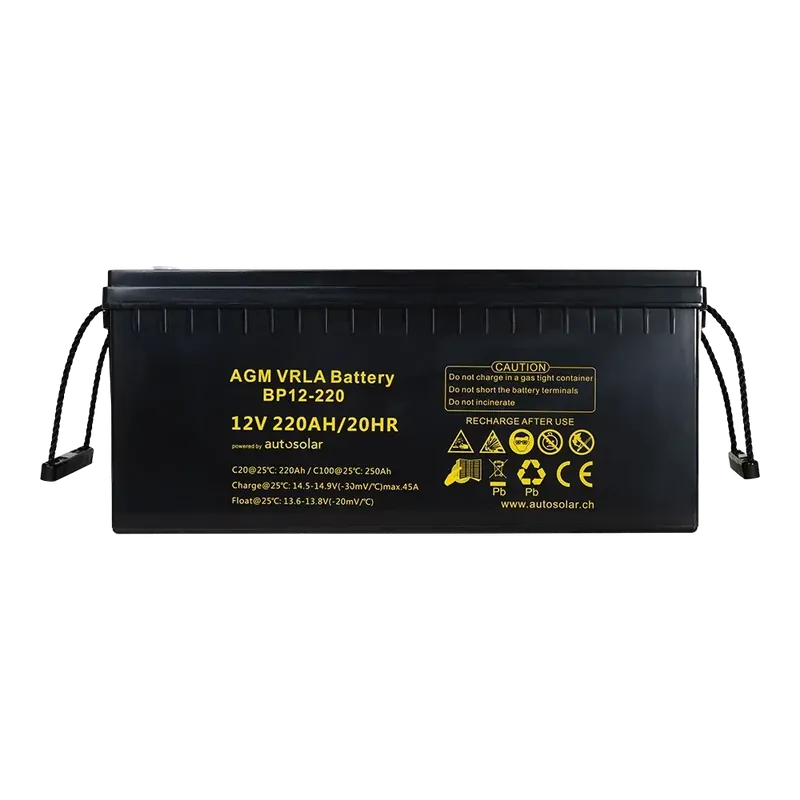 220 Ah AGM-Batterie - wartungsfreie 12 Volt Solarbatterie - Deep Cycle Sichere Zahlung